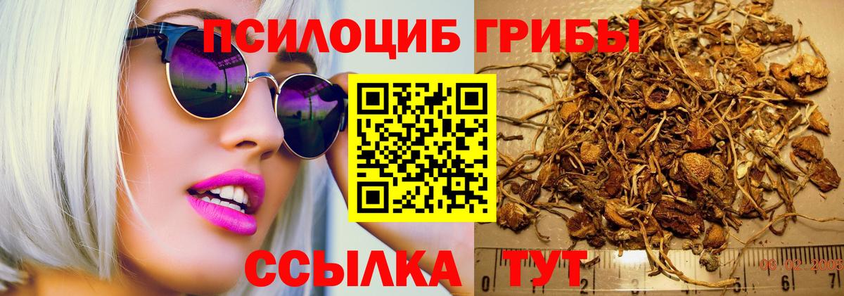 Галлюциногенные грибы мухоморы  Вход с VPN  Псилоцибиновые грибы MAGIC MUSHROOMS  Сосновоборск 