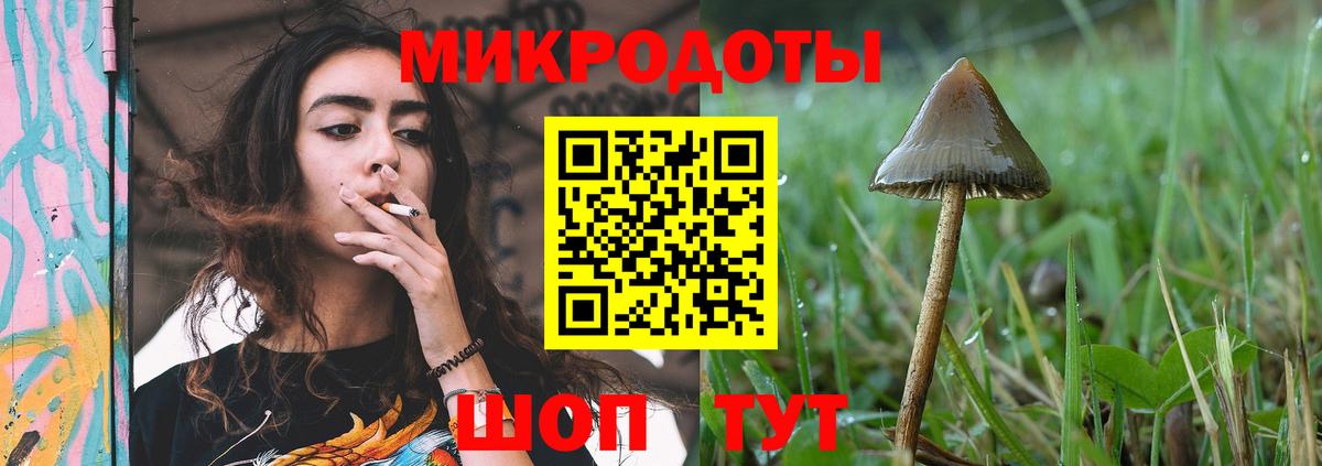 Галлюциногенные грибы Magic Shrooms Сосновоборск